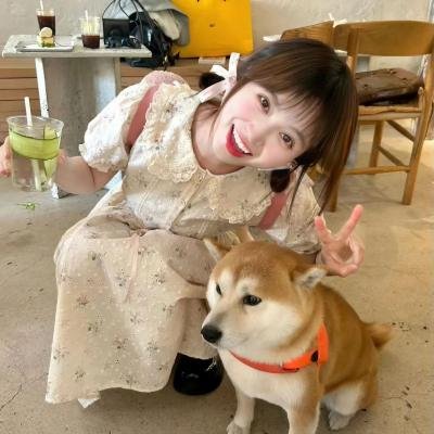 战地奇女子